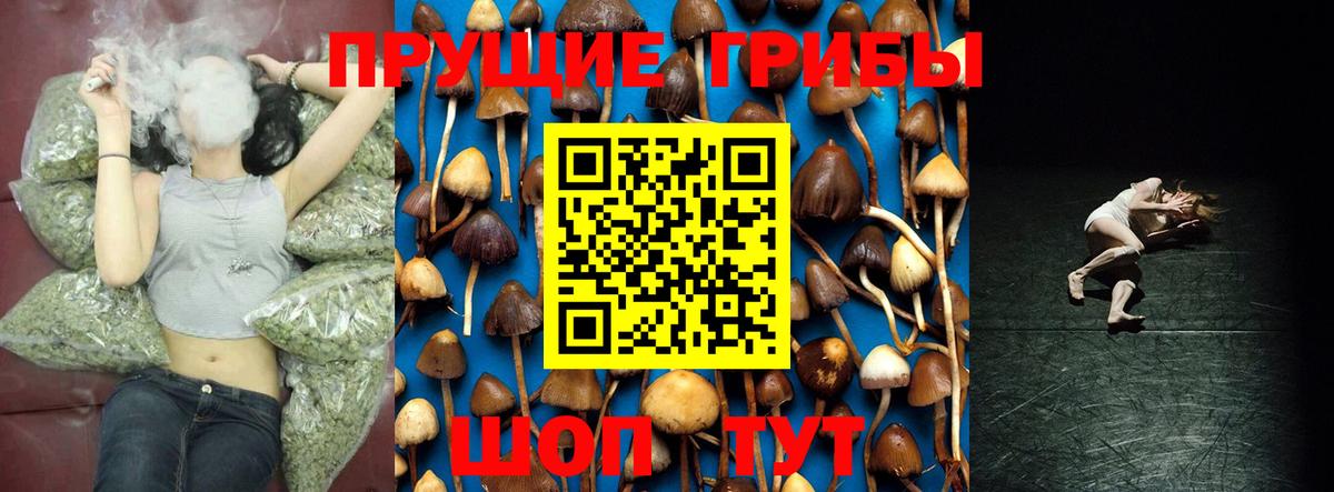 Псилоцибиновые грибы мухоморы  Псилоцибиновые грибы мухоморы  Вход с VPN  Курчалой 